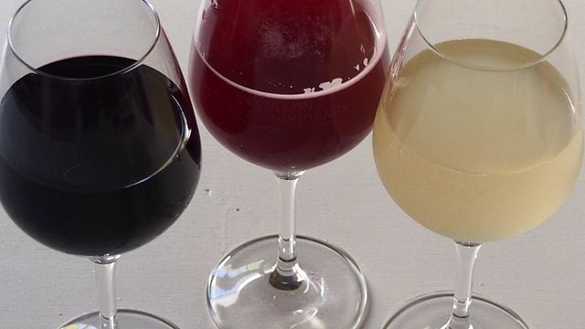 Degustazione di vini e visita a Vignobles Lavau