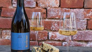 Quattro tipologie di degustazione di vini con antipasti locali