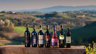 Cata de vinos y aceites en Tenuta Barbadoro