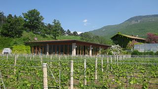 Degustazione esclusiva di vini e visita alla cantina Dalzocchio con vista sulla Vallagarina
