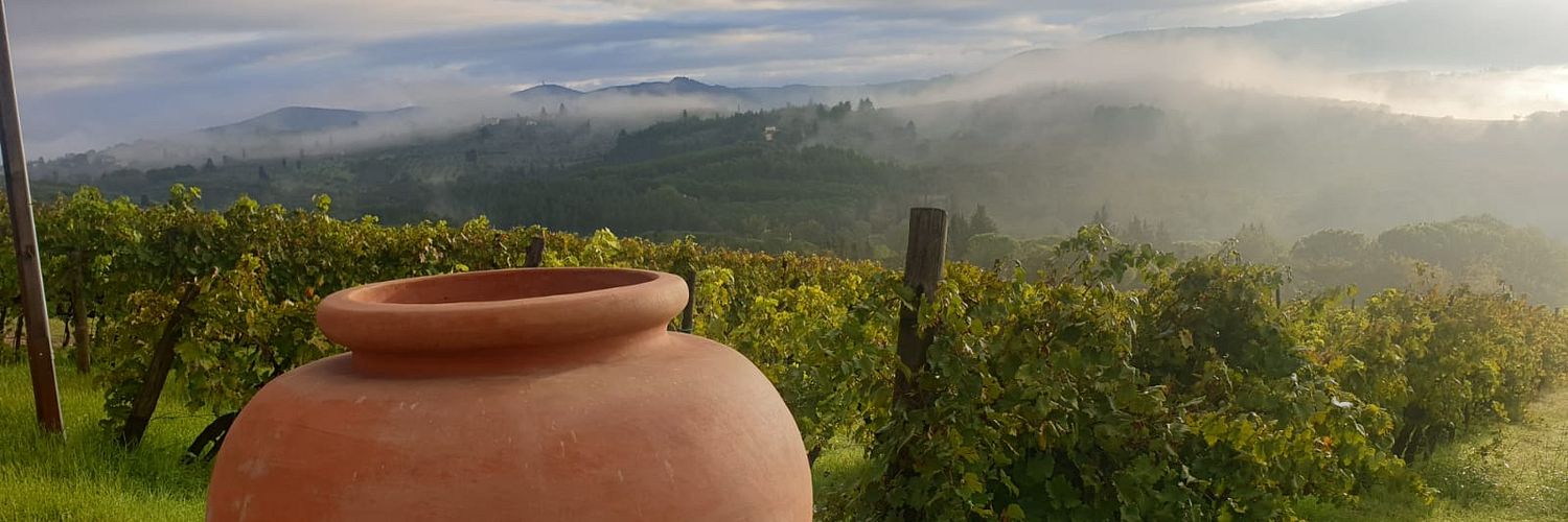 ORCIO IN VIGNA