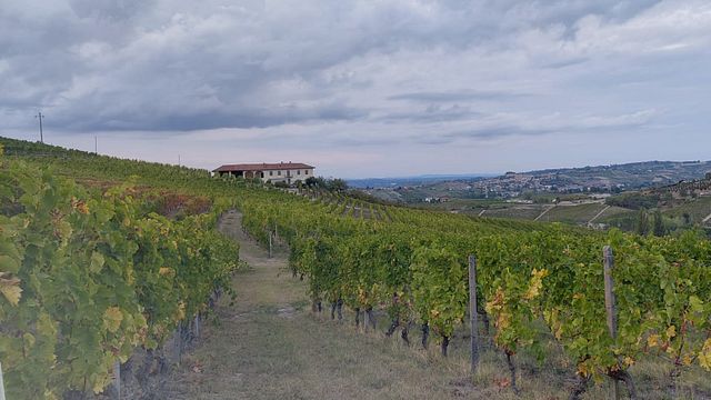 La Roerina