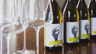 Weinprobe im Vigna Lenuzza
