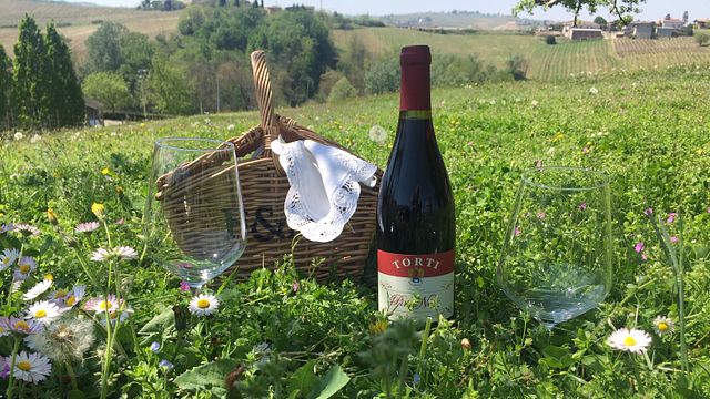 Dégustation de vins et visite à Torti L'Eleganza Del Vino