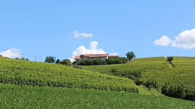 Weinprobe im Cascina Carlot