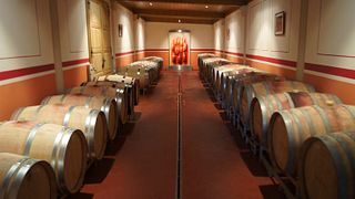Weinprobe und Führung in der Wandraschek Weinmanufaktur