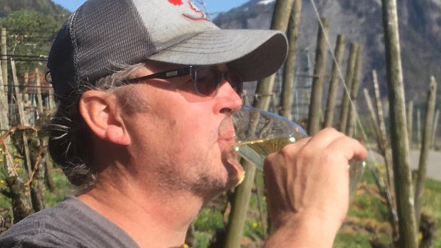 Liesch Bioweine