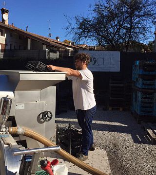 Friuli-Venezia Giulia Organic Wine Journey at Borgo delle Oche