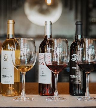 Degustazione di vini e visita a Tres Raíces