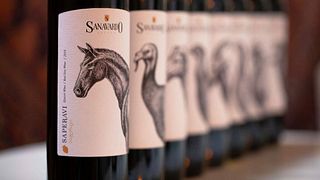 Cata de vinos populares en la finca Sanavardo