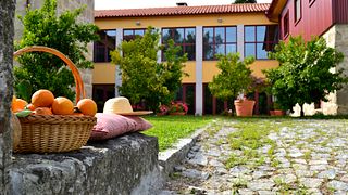 Visite Guidée et Dégustation de Vin Classique