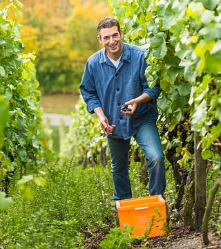 Dégustation de vins et visite au Weingut Sonnenberg