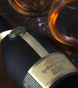 Dégustation de vins de la cinquième génération aux caves du domaine Backsberg