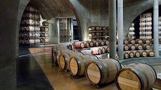 Cata de vinos y visita a Bodega Salentein