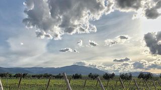 Arizcuren Winery
