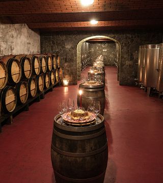 Degustazione tra i vigneti a Kunej