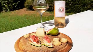 Degustação de vinhos e tour na Tenuta La Meridiana