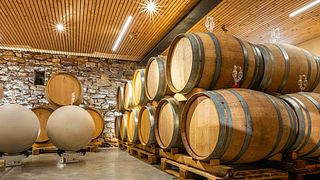 Domaine Mann - Vignoble Des 3 Terres