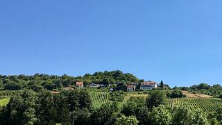 Degustazione alla scoperta delle Caves de Grevenmacher