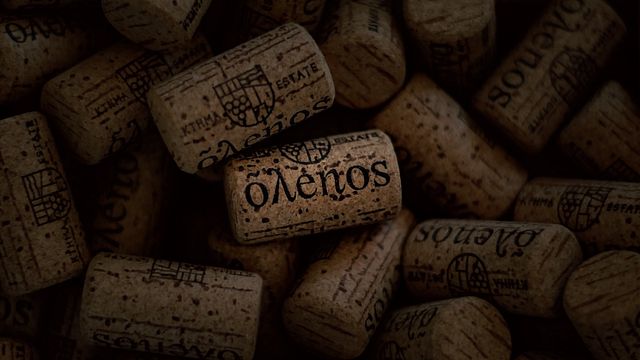 Cata de vinos en Olenos Estate  