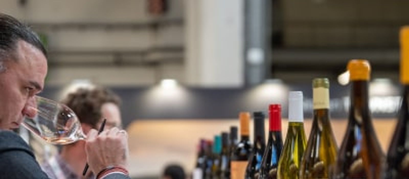 Wine Tasting Journey