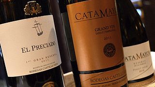 Bodegas Castillo Viejo