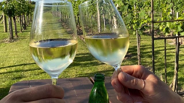 Lower Austria Wine & Vineyard Tour at Höllerer