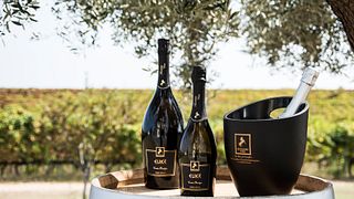 Senatore Vini