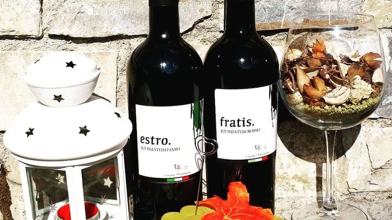 Degustazione e visita alla Tenuta Mainardi