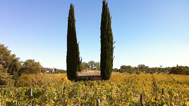 Allegretti Winery