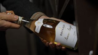 Taste Piedmont’s Award-Winning Wines at Broglia