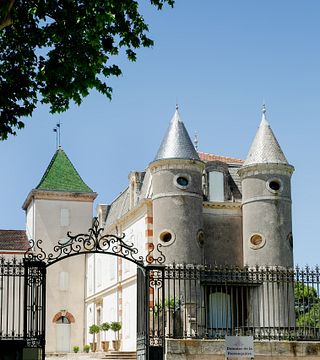 Visita e degustazione dalla vigna al bicchiere | Domaine La Provenquière