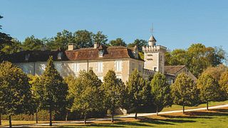 Bergerac Bliss: Organic Wine Tour in South West France