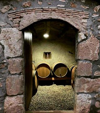 Cata y visita de vinos premium en Finca Mas Perdut