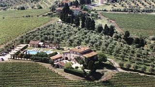 Visite et dégustation de vins à la Fattoria Lavacchio Bio Winery