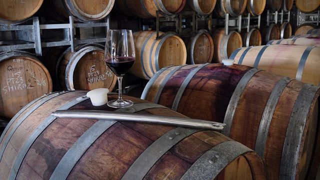 Cata de vinos y visita guiada en Condie Estate