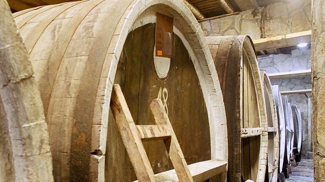 Visita a la bodega y degustación en Villa Vinifera