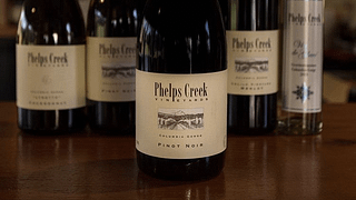 Degustazione di vini e tour ai vigneti di Phelps Creek