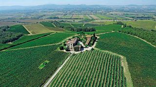 Visit and Wine Tasting Vino Nobile di Montepulciano at Palazzo Vecchio