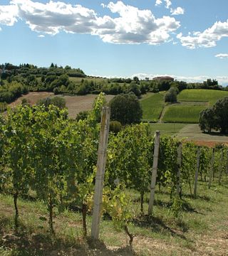 Dacapo Cà Ed Balos Winery