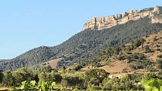 Catalan Vineyards: Wine, Bites & Mountain Views