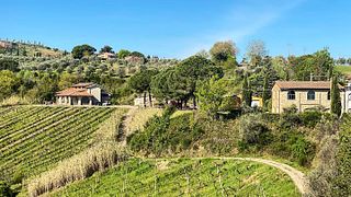 Dégustation de vins et visite de la Tenuta Moriniello