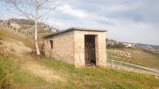 Weinprobe und Tour in der Azienda Agricola Marco Rabino