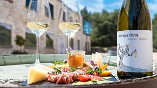Degustazione di vini presso l'azienda vinicola Black Island