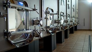 Enjoy Marche Vineyard Tour & Wine Buffet Feast