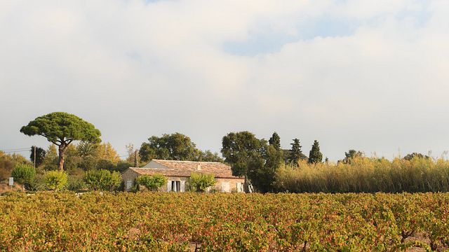 La Ferme des Lices Winery