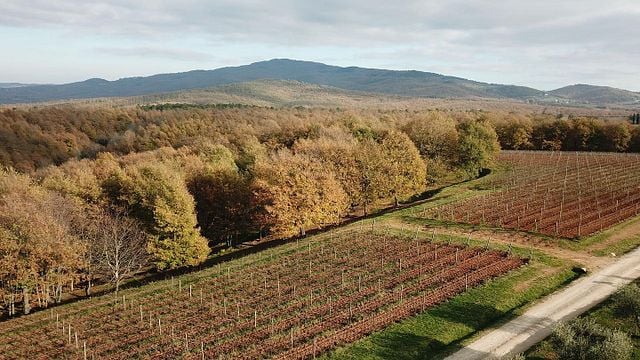 La combinaison parfaite de « Cuisine en cave » chez Pomario