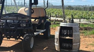 Degustação de vinhos premium e tour na Viña Edén