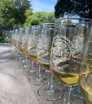 Visita a la bodega de barricas y cata de vinos.