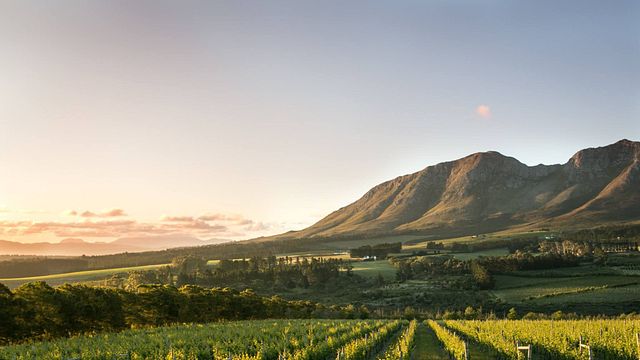Sumaridge Estates Winery